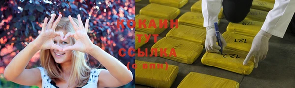 бошки Белокуриха