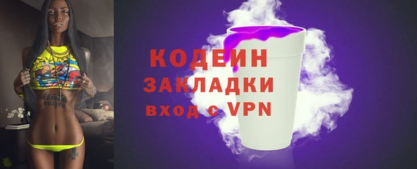 дмт Богородск