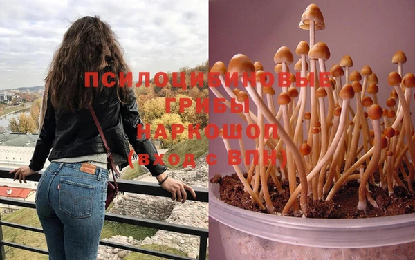 кристаллы Богородицк