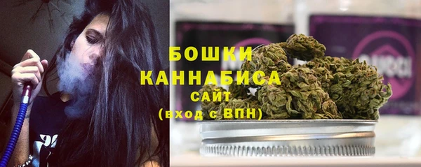 бошки Белокуриха
