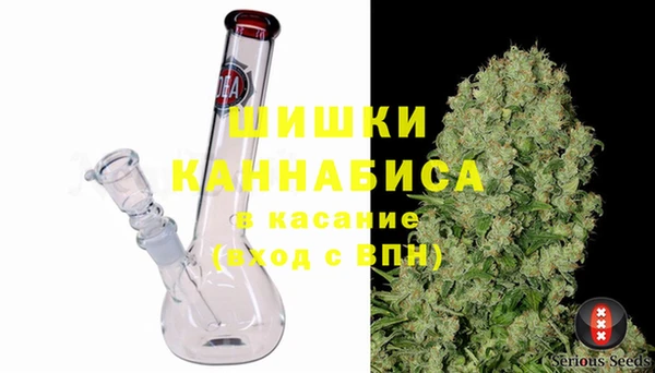 бошки Белокуриха