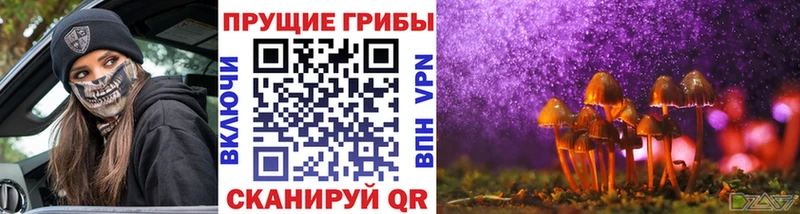 Галлюциногенные грибы мицелий  Карабулак 